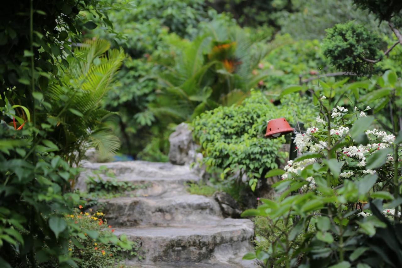 Tam Coc Lion Kings Hotel & Resort Ninh Binh Zewnętrze zdjęcie